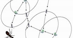 الگوریتم مسیریابی چند مسیره ترکیبی چند هدفه در شبکه‌های موردی سیار